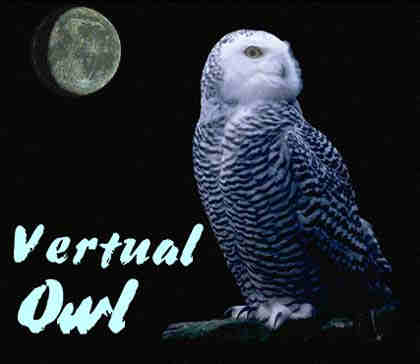 Vertual Owl.    .   :     (    )             Internet,           ,    Internet.