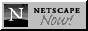  Netscape Navigator