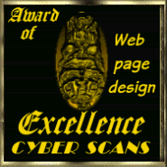 Cyber Scans Excellence Award