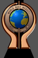 World Best Website Bronze Award