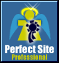 Perfect Site Award