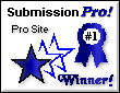 Submission Pro Site Award