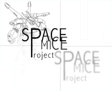Space Mice Project