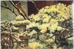 Snow on a tree (1917-1918)