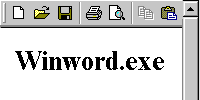   Microsoft Word