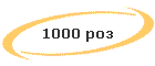 1000 
